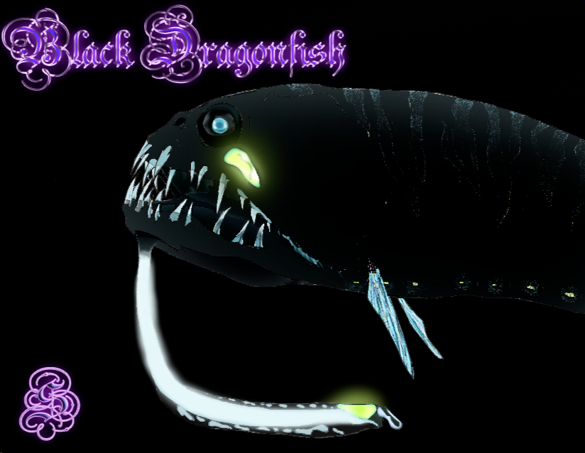 A black dragonfish referenced from a children's science magazine I was subscribed to.