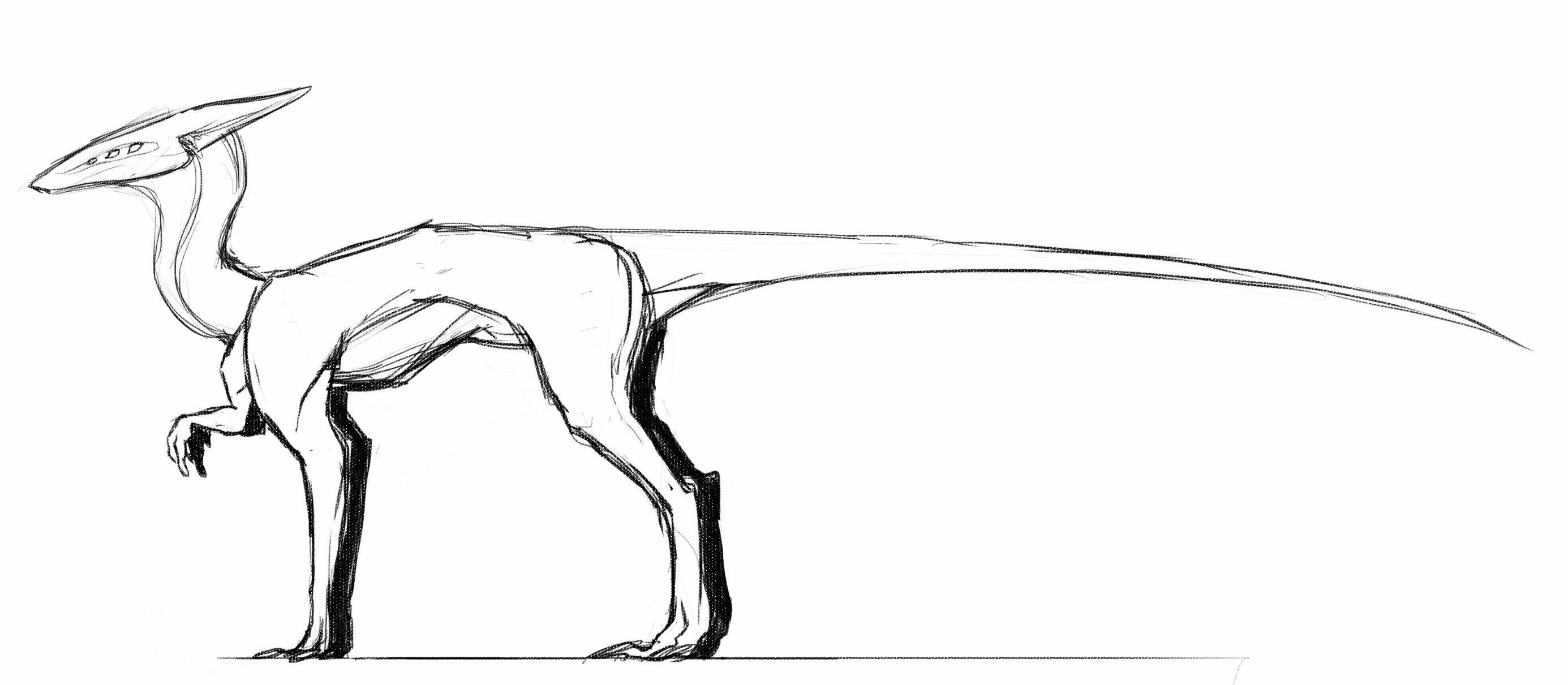 Animation showcasing layers of anatomy on the Lizirii