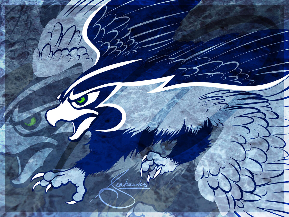 Seattle Seahawks fanart