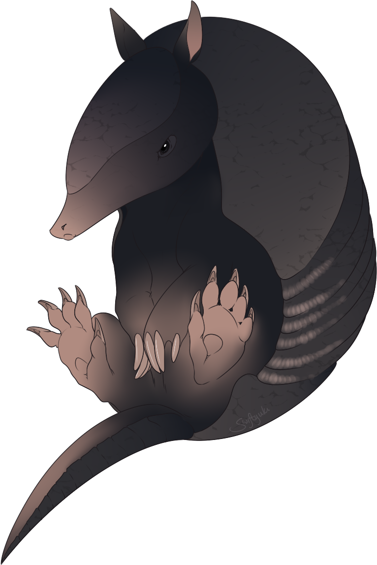 Commission for someone of an armadillo