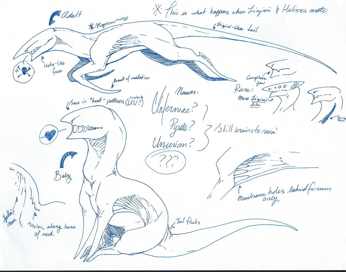 bunch of Arrowhead concept sketched