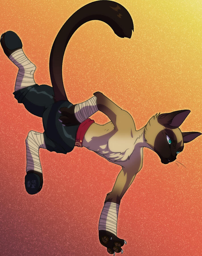 Ninjakato's OC, Xingren