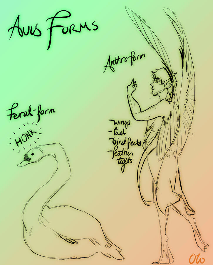 Avis concepts