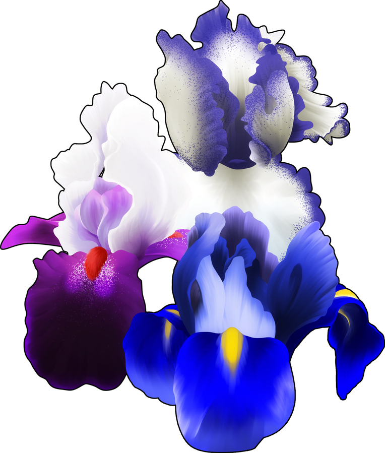Iris paint