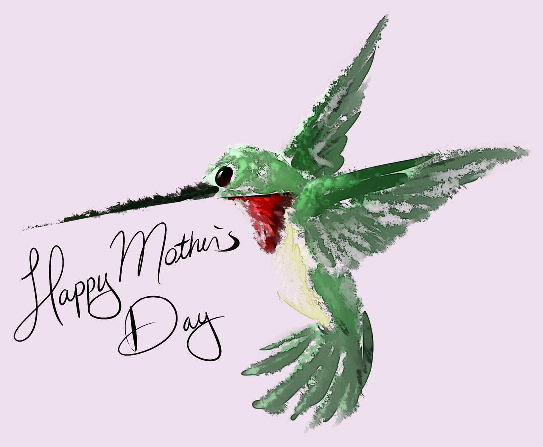 Mother's day image with a hummingbird sketch