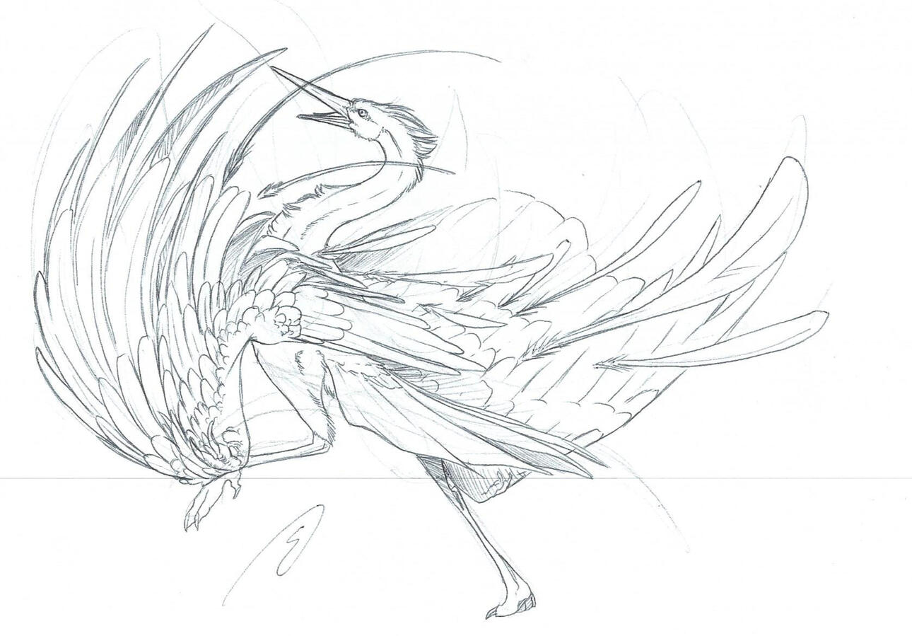 A bird