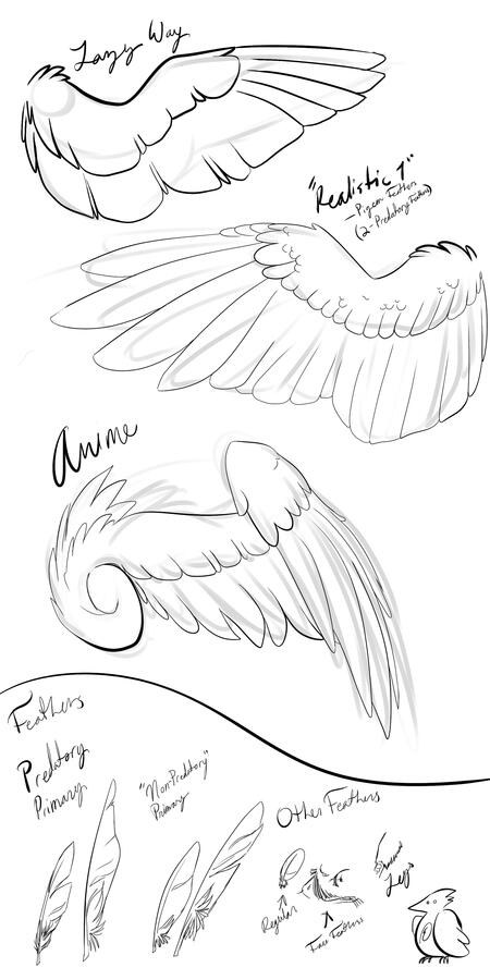 sketch page of wing studies