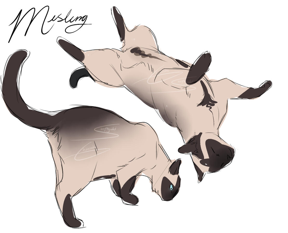 doodles of Ghooostie's cat, Misling