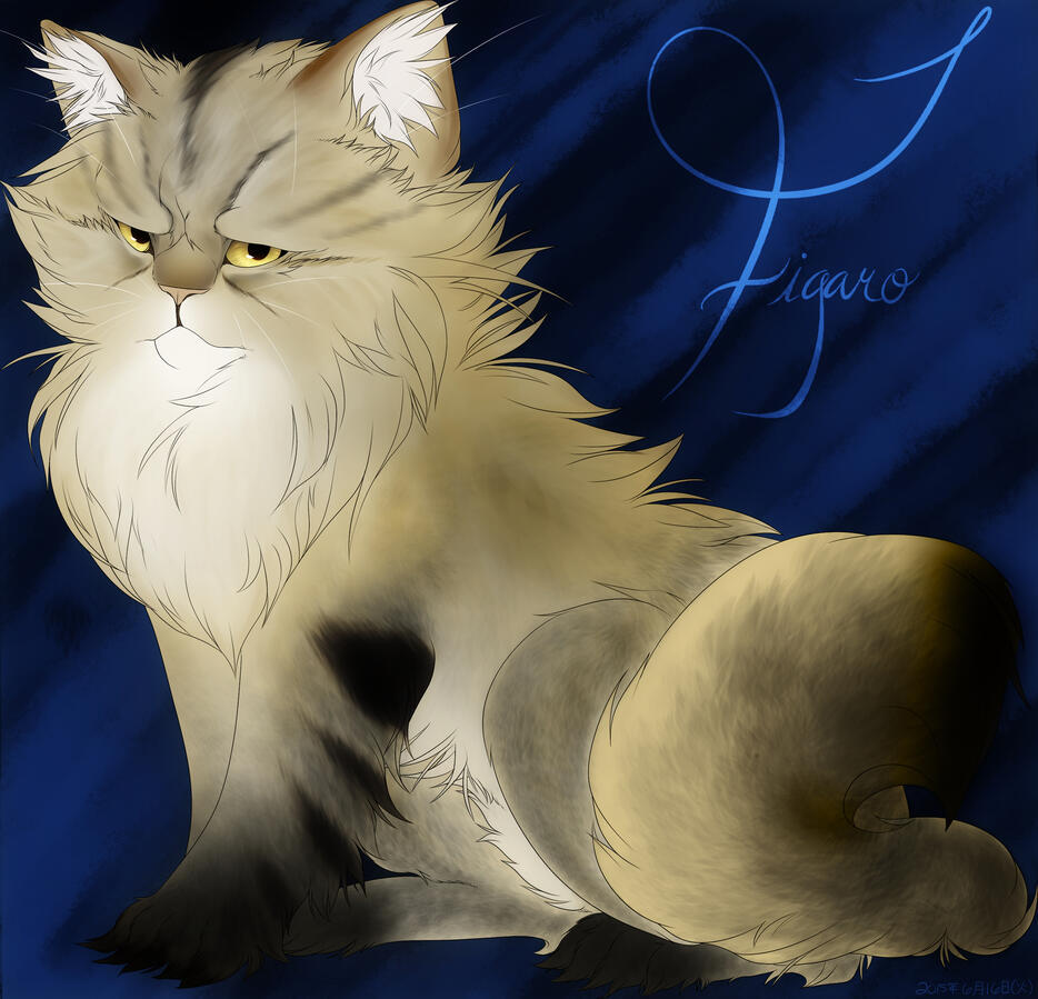 Figaro for Ghooostie