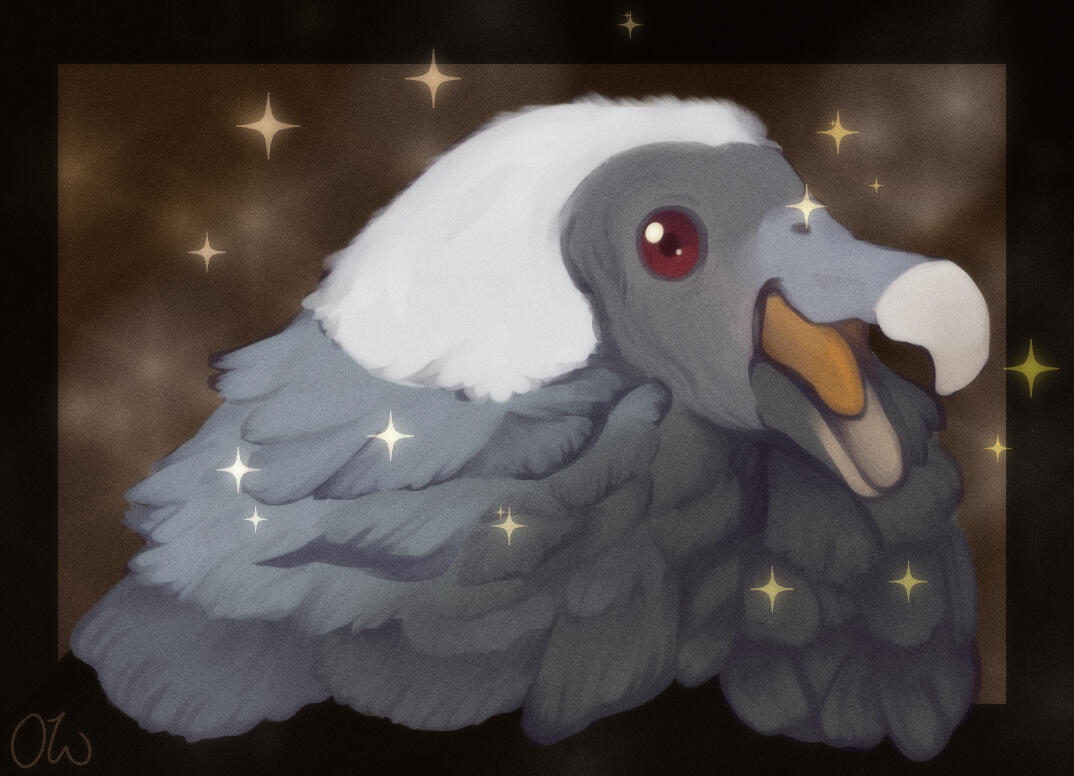 Andean condor painting based on a photo